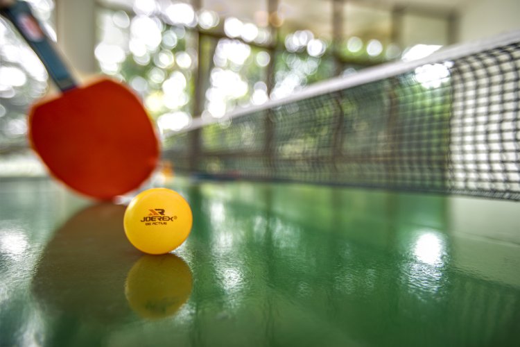 Table Tennis